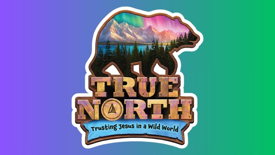 True North VBS