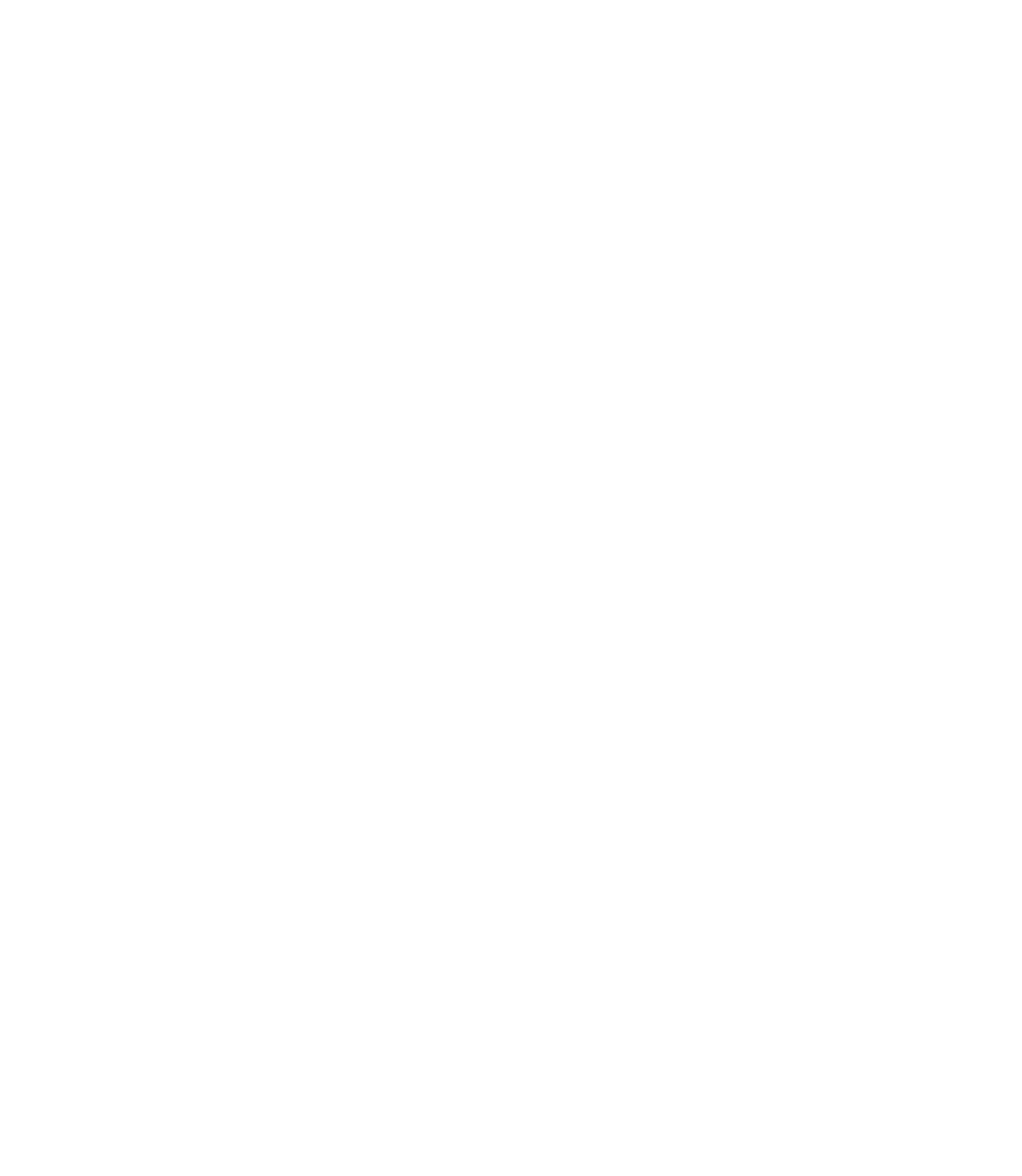 North Lake Physical Therapist